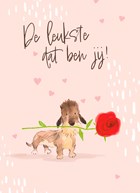 hond teckel roos roze